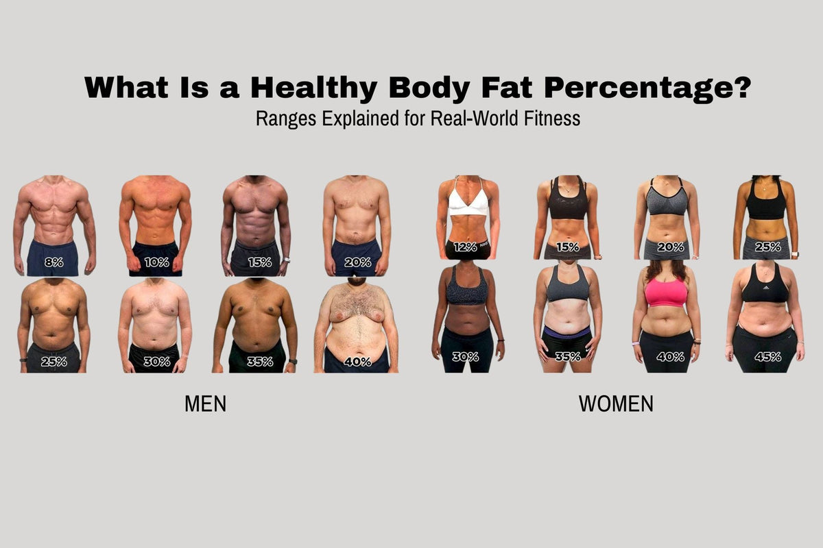 Healthy Body Fat Percentage for Men & Women in South Africa – Jaguar ...